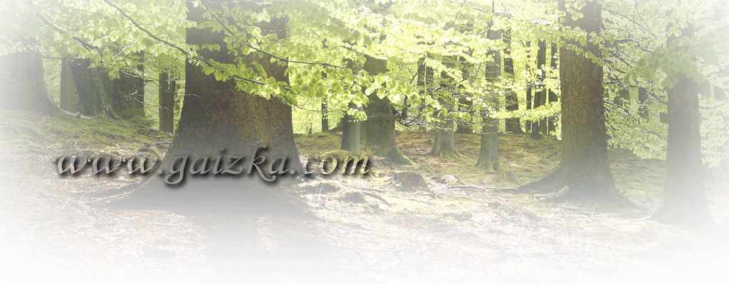 www.gaizka.com